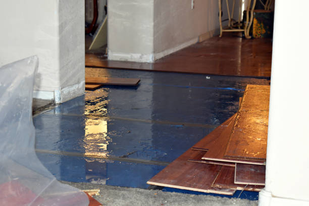 Professional Burst Pipe Cleanup technician working in Hookerton, NC